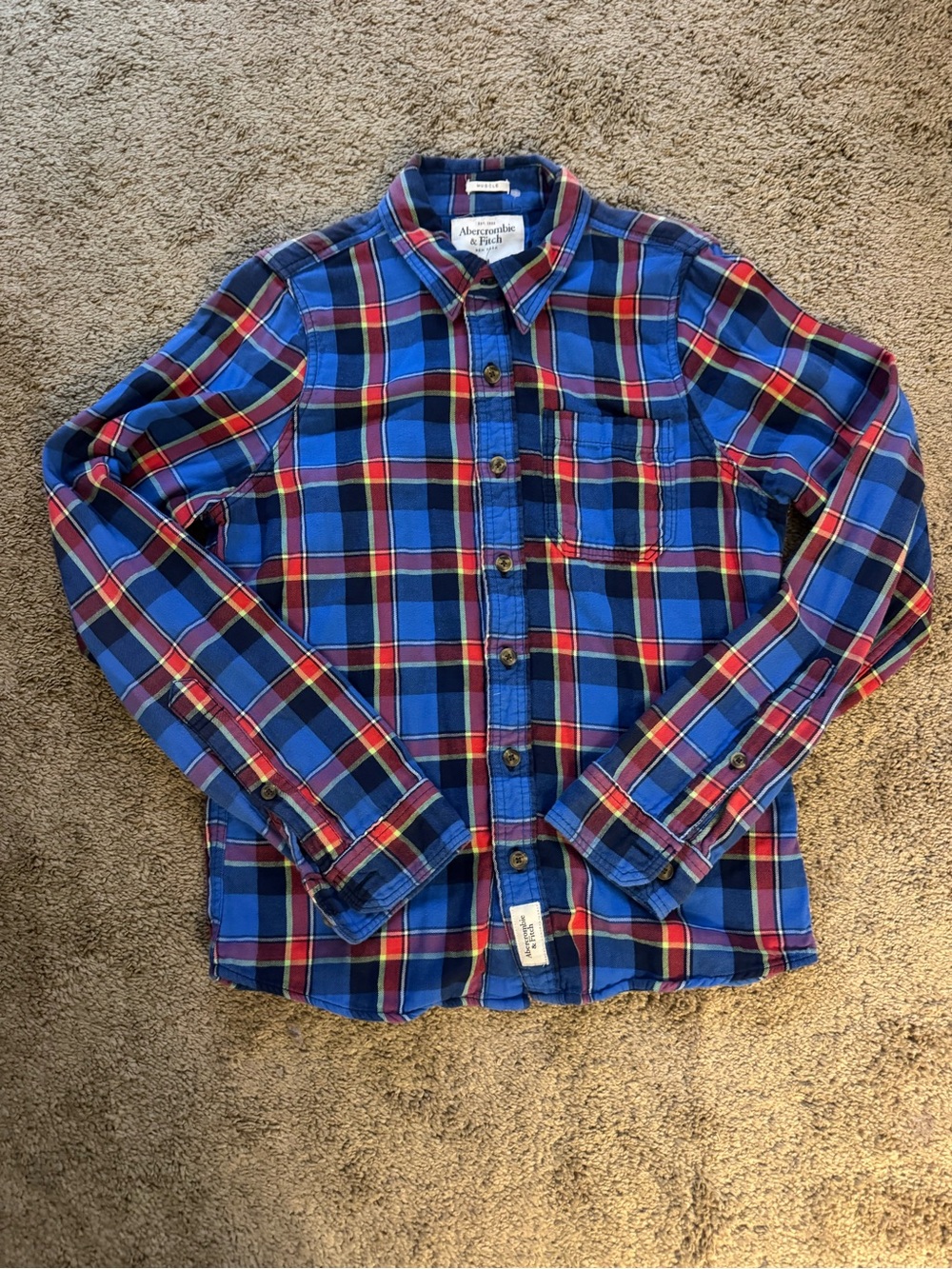 Abercrombie & Fitch Men's Blue Red Plaid Button-Down Shirt